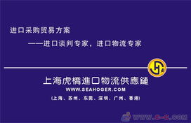 專(zhuān)業(yè)護(hù)航，高效通關(guān) 上海進(jìn)口報(bào)關(guān)代理服務(wù)全解析